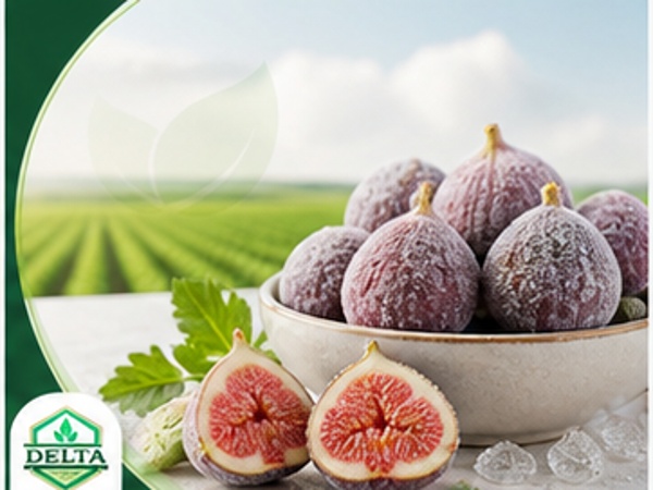 Figs