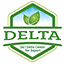 Delta brother logo