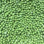 WhatsApp Image 2023-03-15 at 8.27.08 PM