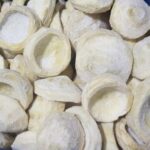 WhatsApp Image 2023-03-15 at 8.33.55 PM